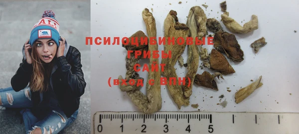 ешки Бородино