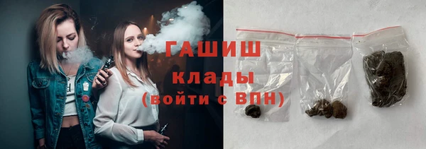 ешки Бородино