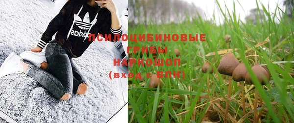 ешки Бородино