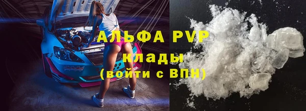 ешки Бородино