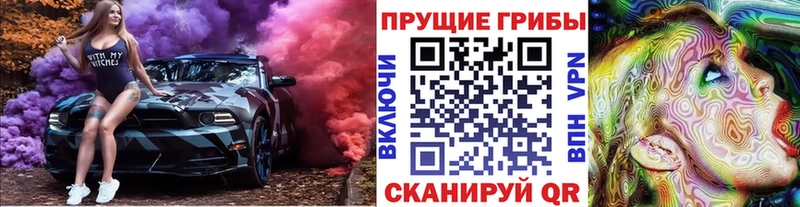 Псилоцибиновые грибы прущие грибы  Колпашево 